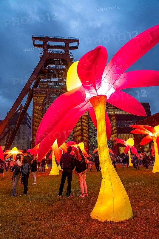 Extraschicht, the long night of industrial culture, cultural festival across the Ruhr region, 35 venues in 19 cities, here Illuminating flowers at the Zeche Zollverein in Essen, Doppelbock pithead winding tower shaft 12, North Rhine-Westphalia, Germany, Europe
