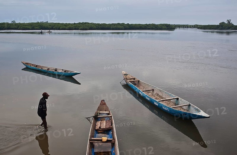 Boatman and pirogues, estuary and mangrove in the background (Fadiouth, Senegal)