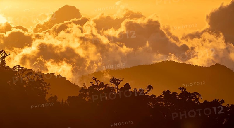 Evening mood, clouds over cloud forest, mountain rainforest, Parque Nacional Los Quetzales, Costa Rica, Central America