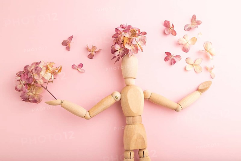 Wooden mannequin holding hydrangea flowers on pink pastel background. close up, isolated, spring, gardening concept