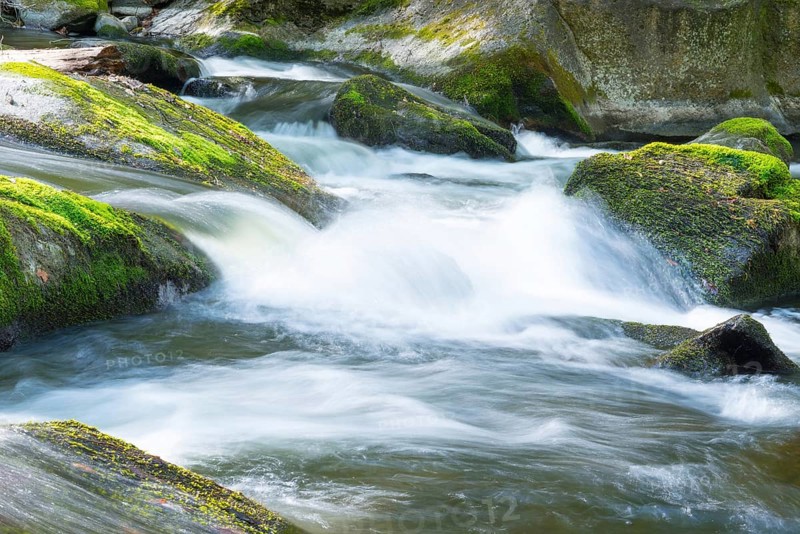 Fast flowing water flows over moss-covered stones, boulders, in a small river, rapids, rocks with moss, wiping effect, long exposure, motion blur, soft focus, river Bode, Bode Valley, Eastern Harz, Harz Mountains, Saxony-Anhalt, Germany, Europe