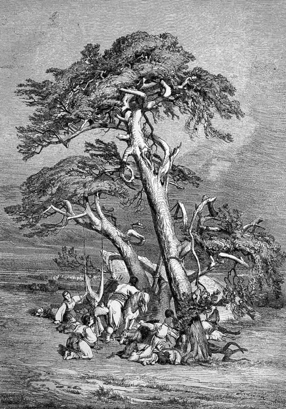 Prayer in the steppe. Travelling group in the Orient resting under a pine tree, Historical, digitally restored reproduction from a 19th century original, Record date not stated