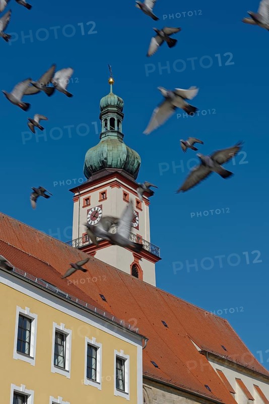 Church tower of St. Mary's parish church rises behind yellow building, surrounded by flying pigeons against blue sky, Luitpoldplatz, St. Mary's parish church, Sulzbach Rosenberg, Bavaria, Germany, Europe
