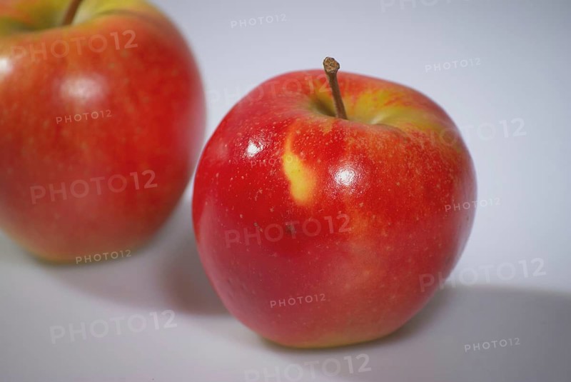 Europe, Germany, Lower Saxony, red apple, cultivation in the Altes Land near Hamburg, Malus, Hamburg, Hamburg, Federal Republic of Germany, Europe