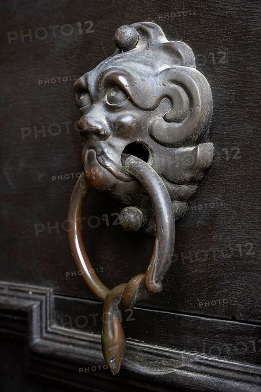 Lion's head, historical door knocker on a wooden door, Salem Castle, former imperial abbey, former monastery of the Cistercian order, Salem, Lake Constance, Lake Constance district, Baden-Württemberg, Germany, Europe