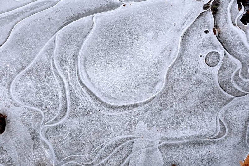 Winter floods 2024 on the Elbe and Mulde rivers with flooding of the meadows, close-up of ice structures on the meadows due to flooding in winter, bizarre ice formations, 'Salome' by Gustav Klimt, Middle Elbe Biosphere Reserve, Dessau-Roßlau, Saxony-Anhalt, Germany, Europe