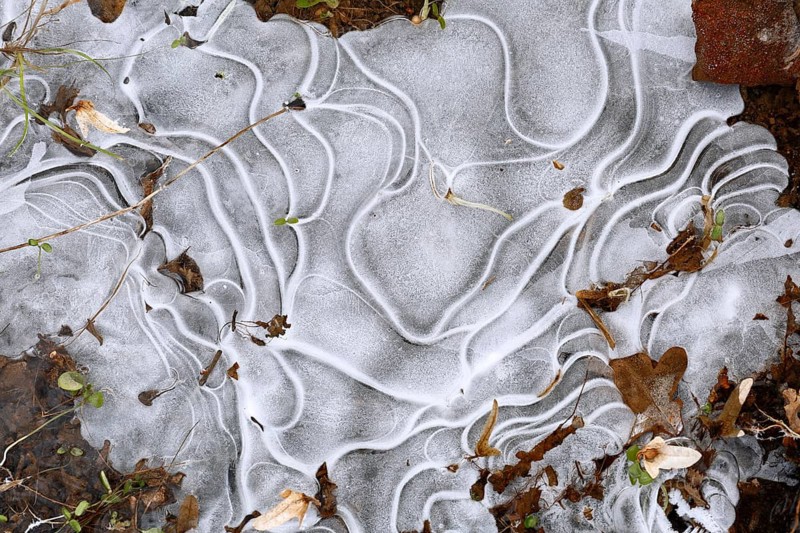 Winter flood 2024 on the rivers Elbe and Mulde with flooding of the meadows, close-up of ice structures on the meadows due to flooding in winter, bizarre ice formations, Middle Elbe Biosphere Reserve, Dessau-Roßlau, Saxony-Anhalt, Germany, Europe