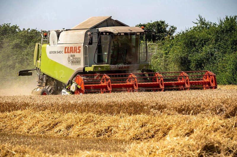 Agriculture, grain harvest, wheat, combine harvester harvesting in a wheat field, near Niederkrüchten, North Rhine-Westphalia, Germany, Europe
