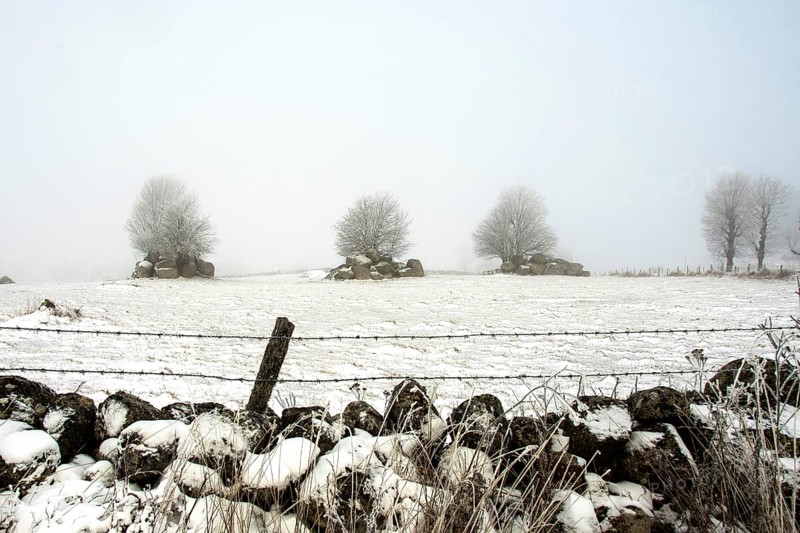 Aubrac plateau. Barbed wires and stone wall in winter. Lozere department. Occitanie. France