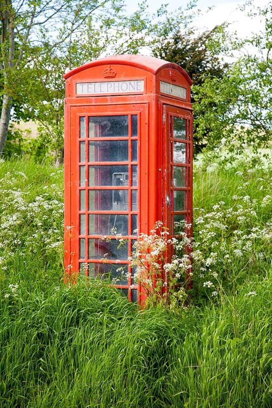 Traditional red telephone box in rural area becoming overgrown through lack of use, Wiltshire, England, United Kingdom, Europe