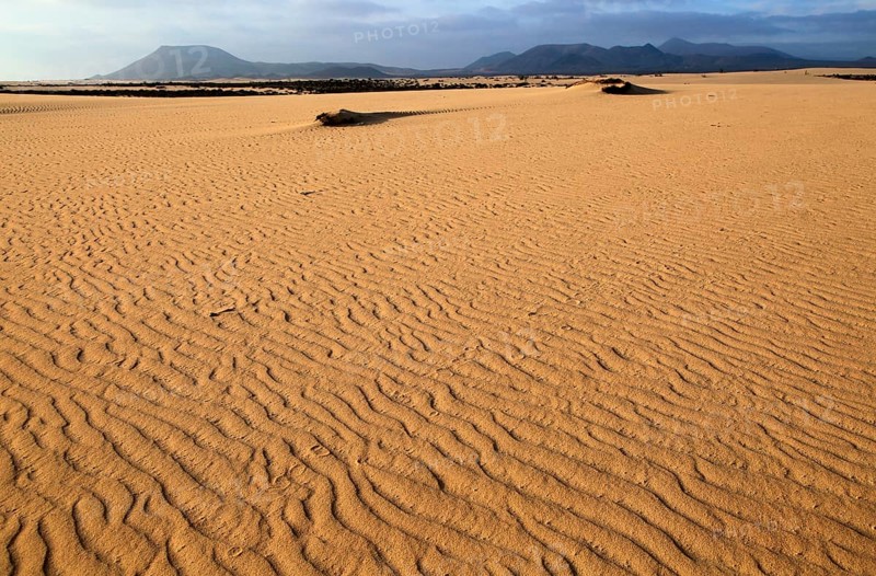 Sand dunes at Las Dunas natural park, Corralejo, Fuerteventura, Canary Islands, Spain, Europe