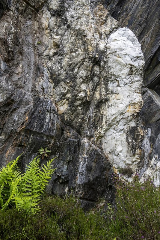 White quartz vein in rock face at the Ballachulish slate quarry in Lochaber, Highland, Scotland, UK