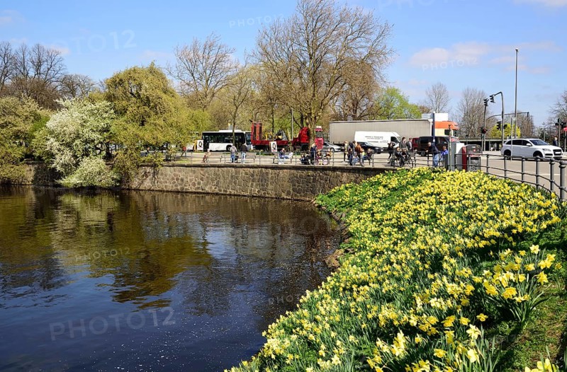 Europe, Germany, Hamburg, City, Inner Alster, tree blossom, lunch break on the Alster promenade, daffodils, Europe
