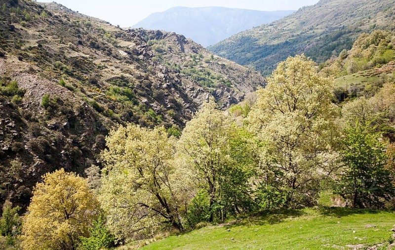 Landscape of the River Rio Poqueira gorge valley, High Alpujarras, Sierra Nevada, Granada Province, Spain, Europe