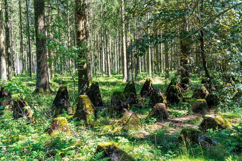 Remains of the former Westwall, anti-tank barriers, on the border with Belgium, in a forest near the village of Miescheid, North Rhine-Westphalia, Germany, Europe