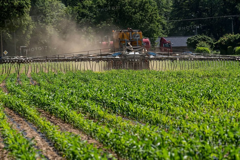 A maize field, with young plants, is fertilised with liquid manure, self-propelled slurry tanker, near Geldern, North Rhine-Westphalia, Germany, Europe
