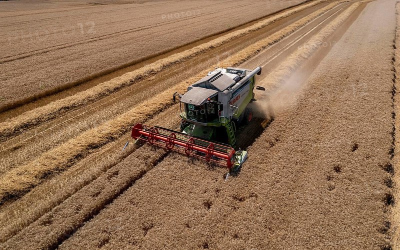 Agriculture, grain harvest, wheat, combine harvester harvesting in a wheat field, near Niederkrüchten, North Rhine-Westphalia, Germany, Europe