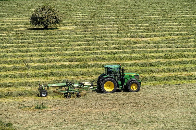 Hay harvest, in a meadow near Duisburg-Baerl, tractor with roundabout tedder, a hay tedder that piles up the cut grass in strips so that it can later be picked up and utilised, North Rhine-Westphalia, Germany, Europe