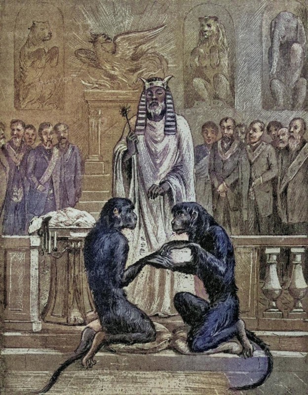 Die Opferung des Lammes während der Hochzeit der Affen From the book Der Freimaurer by Eugen Lennhoff, published 1932, Sacrificing the Lamb during the Marriage of the Apes From the book The Freemason by Eugen Lennhoff published 1932, Historic, digitally restored reproduction from a 19th century original, Record date not stated