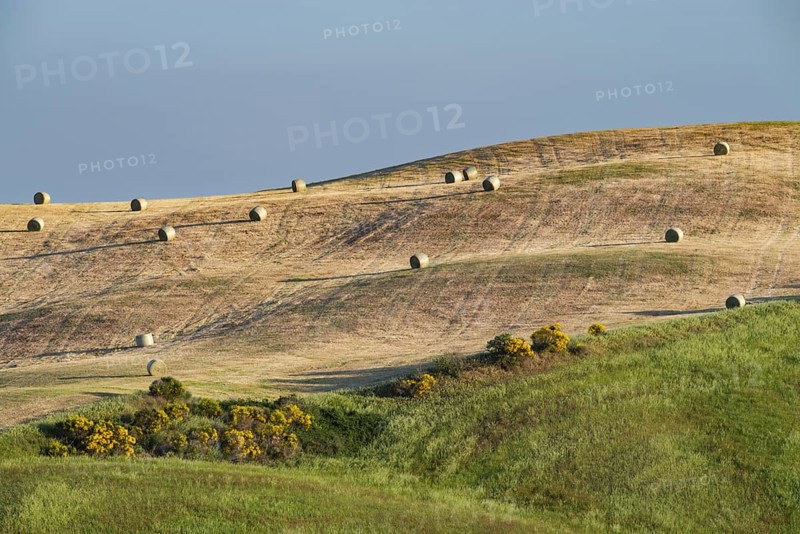 Harvested wheat field with bales of straw, landscape around Pienza, Val d'Orcia, Orcia Valley, UNESCO World Heritage Site, Province of Siena, Tuscany, Italy, Europe