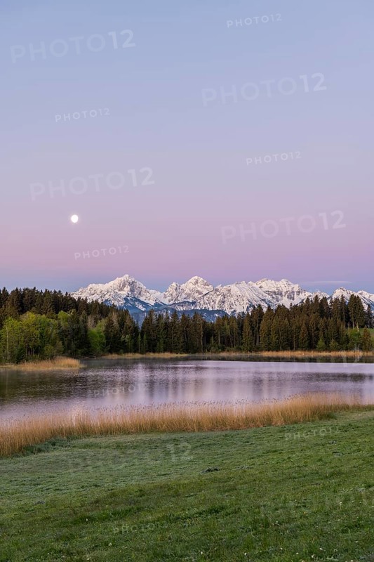 Hegratsrieder See near Füssen, Allgäu Alps, snow, moon, dawn, Allgäu, Bavaria, Germany, Europe