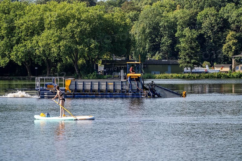 Mowing boat Nimmersatt, of the Ruhrverband, tries to keep the green plant carpet on the Lake Baldeney in Essen, in check, proliferating water plant Elodea, waterweed, an invasive species, the fast-growing water plant proliferates on large parts of the Ruhr reservoir, increased water temperatures accelerate the growth, the leisure boat traffic is severely impaired, Essen, North Rhine-Westphalia, Germany, Europe