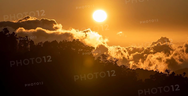Evening mood, clouds over cloud forest, mountain rainforest, Parque Nacional Los Quetzales, Costa Rica, Central America