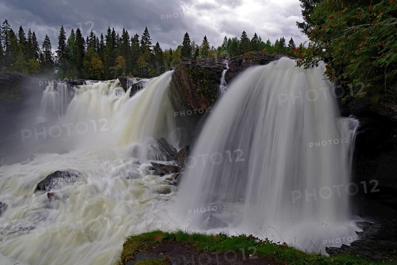 Spectacular waterfalls in the middle of a dense forest under a cloudy sky, Ronja the Robber's Daughter, filming location, Ristafallet, Järpen, Jämtland, Sweden, Europe