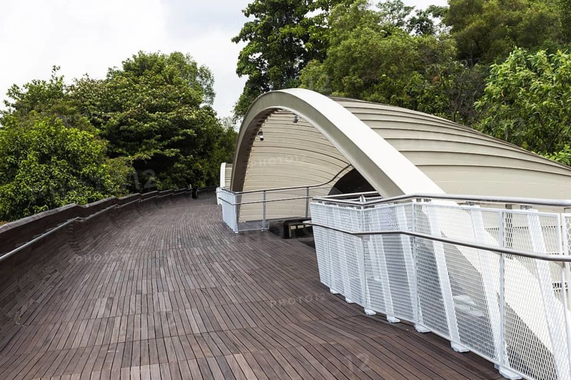 Modern wooden bridge over the jungle. singapore