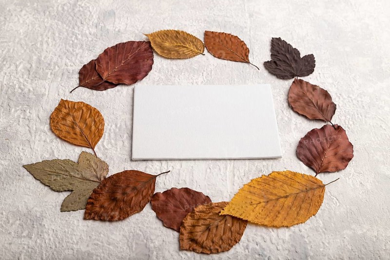 Wreath circle composition with yellow and brown autumn leaves and white business card, round frame mockup on gray concrete background. Blank, side view, still life, copy space
