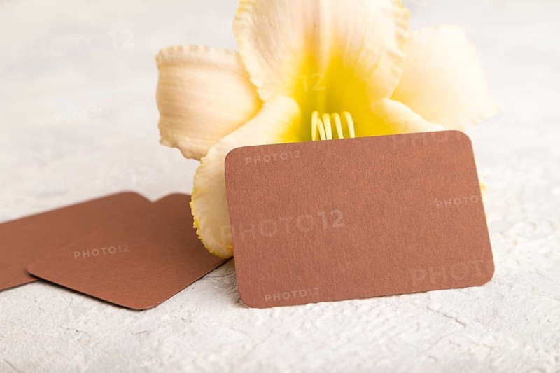 Brown paper business card mockup with orange day-lily flower on gray concrete background. Blank, side view, copy space, still life. spring concept