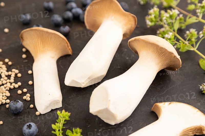 King Oyster mushrooms or Eringi (Pleurotus eryngii) on black concrete background with blueberry, herbs and spices. Side view, selective focus