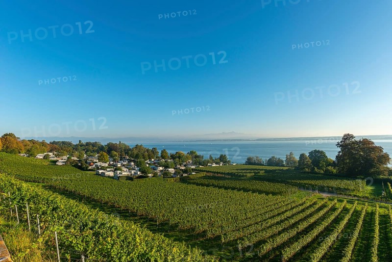 Campsite, caravan, blue sky, vineyards, Hagnau am Lake Constance, Baden-Württemberg, Germany, Europe