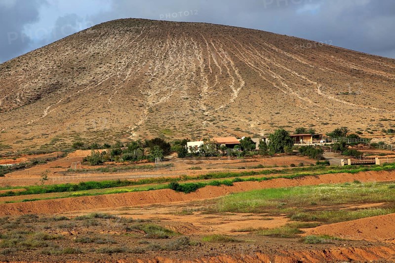 Farm at base of old volcano cone, near Tetir, Fuerteventura, Canary Islands, Spain, Europe