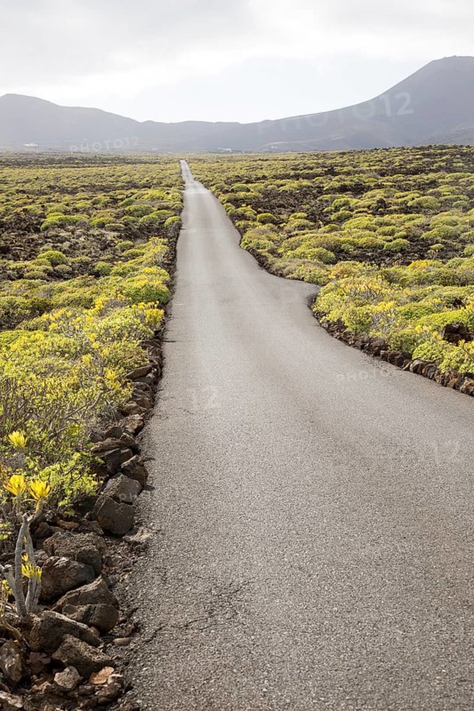 Straight sealed tarmac road crossing lava flows Malpais de Corona, Lanzarote, Canary Islands, Spain, Europe