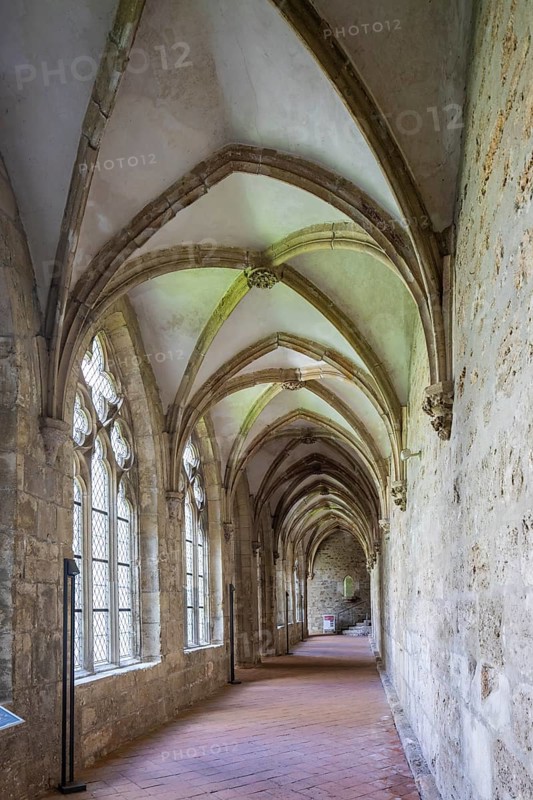 Walkenried Abbey is a former Cistercian abbey in Walkenried, situated on the southern edge of the Harz Mountains near the border triangle of Lower Saxony, Saxony-Anhalt and Thuringia. The building complex includes the ruins of the abbey church and the largely preserved Gothic cloister building. This was converted into the Walkenried Monastery Cistercian Museum in 2006. Since 2010, the monastery complex has been a UNESCO World Heritage Site as part of the Rammelsberg Mine, Goslar Old Town and Upper Harz Water Management Site, Walkenried Monastery, Walkenried, Lower Saxony, Germany, Europe