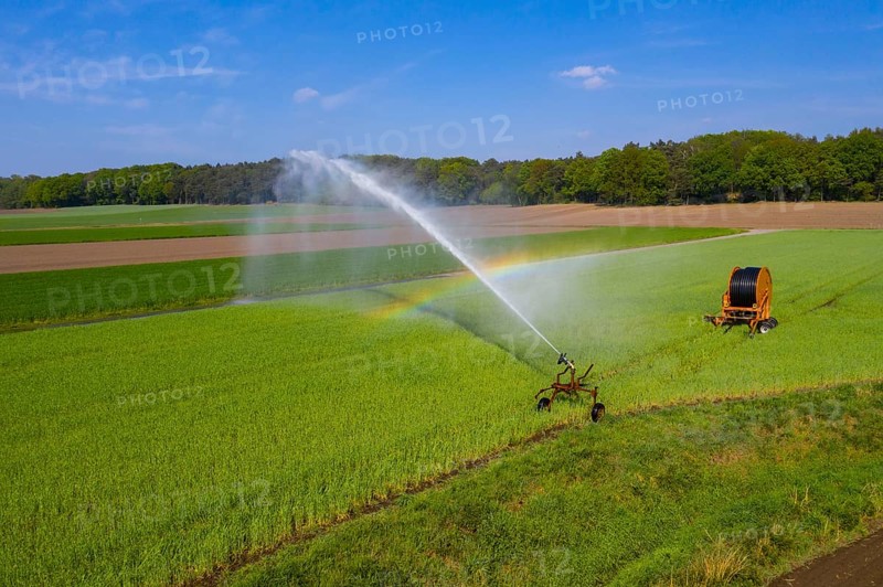Irrigation of a wheat field on the Lower Rhine, with a mobile irrigation machine, large-area sprinkler, Germany, Europe