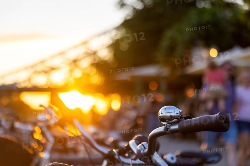 Summer evening at the Elbe garden in Dresden Loschwitz, Summer in Loschwitz, Dresden, Saxony, Germany, Europe