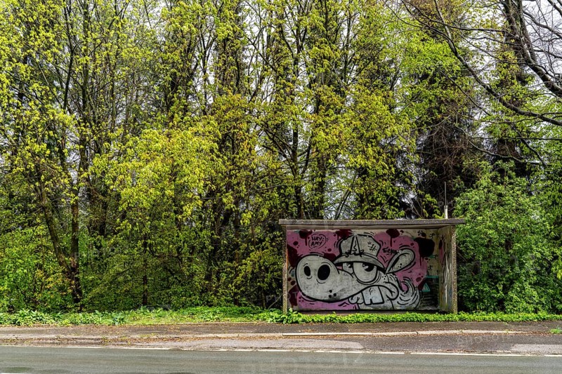 Bus stop shelter, local transport in the countryside, near Breckerfeld-Wengeberg, on Brantender Straße, L528, Ennepe-Ruhr-Kreis, North Rhine-Westphalia, Germany, Europe
