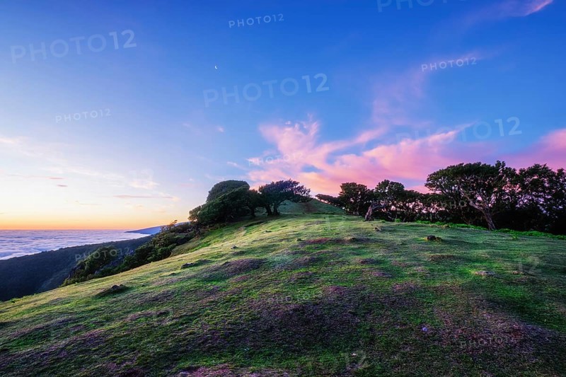 Sunrise above clouds and green hills at Fanal mountain, Madeira island, Portugal, Europe