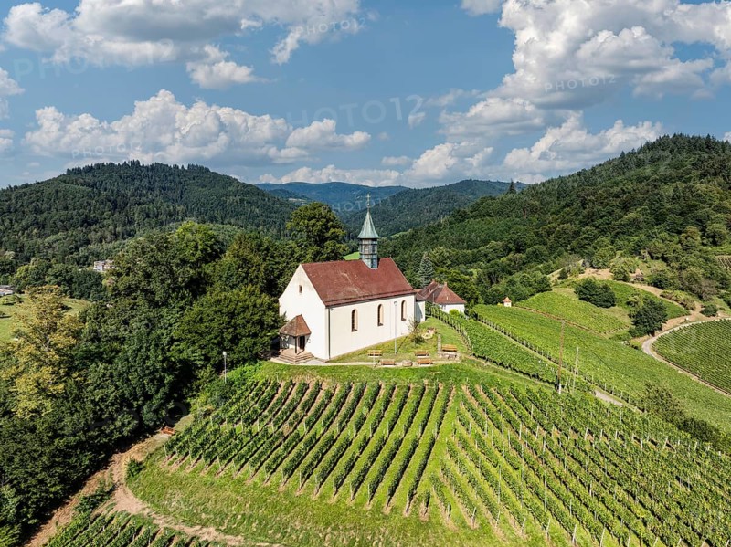 St James' Chapel, mountain chapel on a vineyard, sight and landmark of Gengenbach, aerial view, Ortenaukreis, Baden-Württemberg, Germany, Europe