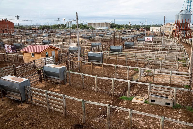 Oklahoma City, Oklahoma, Cattle pens at the Oklahoma National Stockyards. Since it was founded in 1910, more than 100 million cattle have been sold at ONSY's weekly auctions