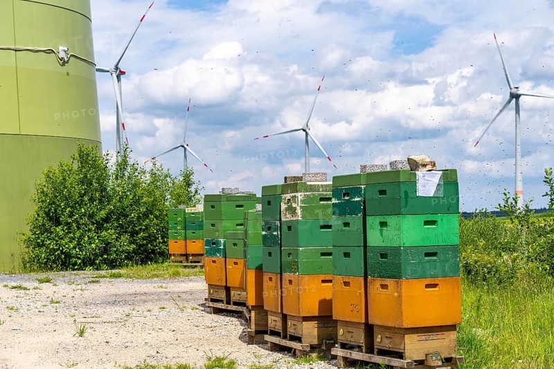 Wind farm north of Marsberg, many beehives at the foot of a wind turbine, Hochsauerlandkreis, North Rhine-Westphalia, Germany, Europe