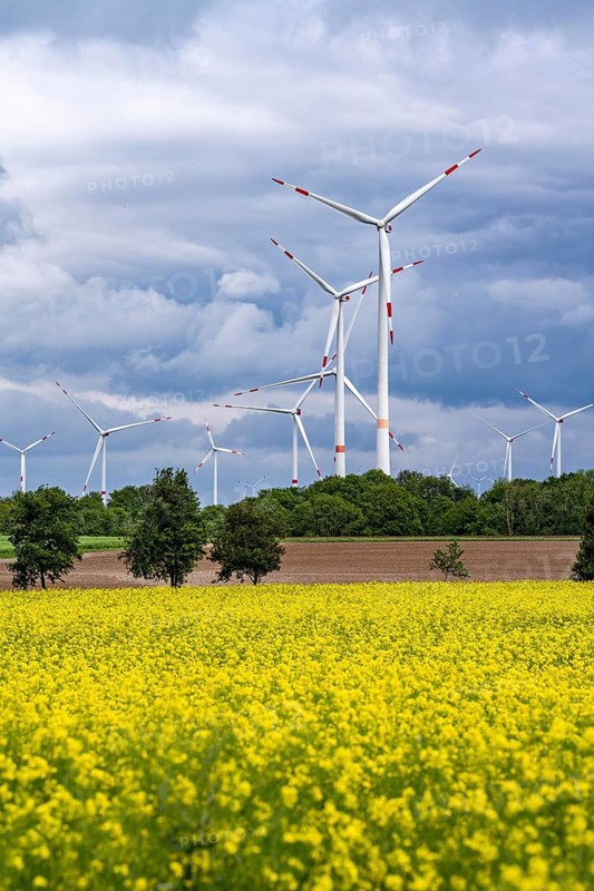 Wind farm east of Geilenkirchen, dark storm clouds, strong wind, rape field, North Rhine-Westphalia, Germany, Europe