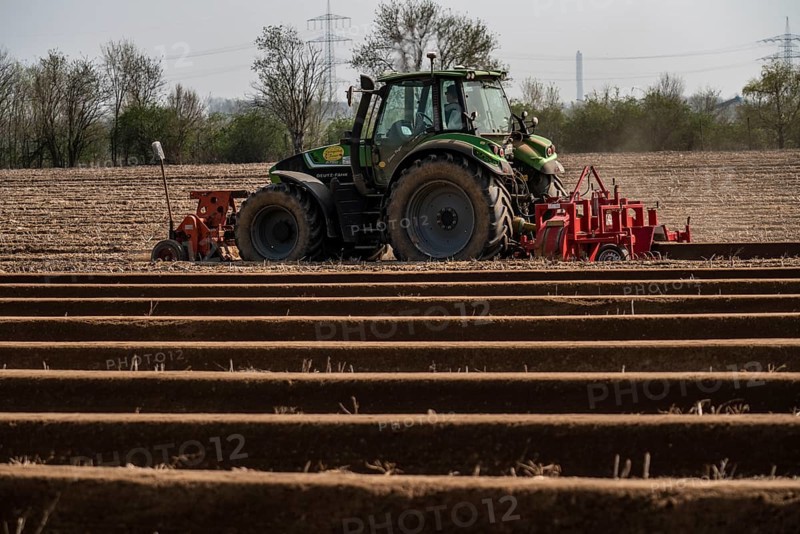 A farmer builds asparagus ridges on a field with the help of an asparagus tiller, in which the asparagus then grows, Dormagen, North Rhine-Westphalia, Germany, Europe