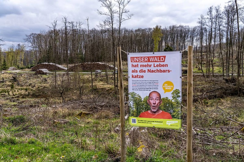 Information poster on forest dieback in the Arnsberg Forest nature park Park, over 70 per cent of the spruce trees are diseased, damaged, mostly by the bark beetle, which was able to spread due to drought and heat, climate change, near Hirschberg, North Rhine-Westphalia, Germany, Europe