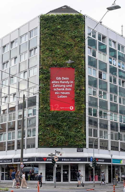 Green façade on a building, Areo Treibhaus office building, on Graf-Adolf-Straße in Düsseldorf, 100 square metre vertical garden, green climate-active façade, with digital advertising space, plants are artificially watered and supplied with nutrients, North Rhine-Westphalia, Germany, Europe