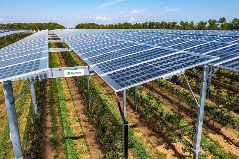 Agri-photovoltaic test plant, an apple orchard with two different systems of PV modules was roofed over 3000 square metres, rain and sunlight comes through, at the same time protection against hail and heavy rain, next to it are the same trees but without a solar roof, as a comparison object, how the PV roof affects the trees and harvest, the field test is accompanied by the Fraunhofer Institute for Solar Energy Systems ISE, in Grafschaft-Gelsdorf, Rhineland-Palatinate, Germany, Europe