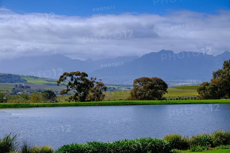Kleine Zalze Wine Estate, Stellenbosch, Western Cape, South Africa, Africa
