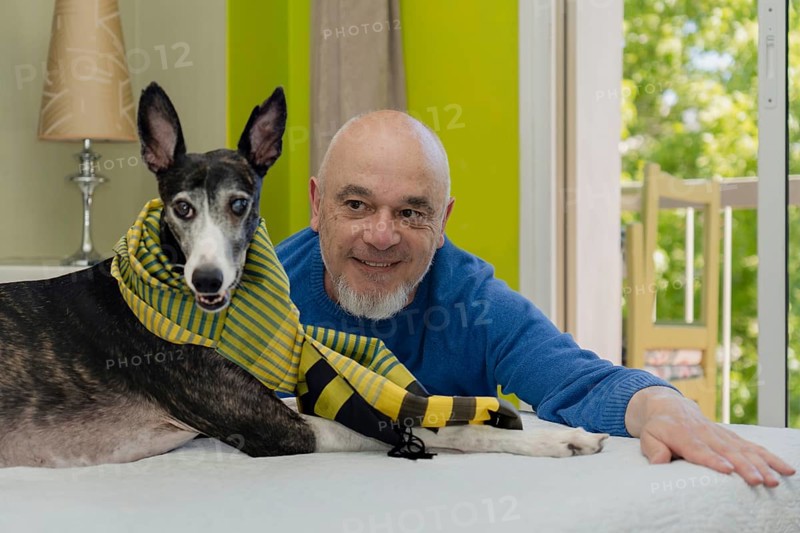 Portrait of a man posing and looking at his rescued greyhound dog with a green scarf lying on the bed